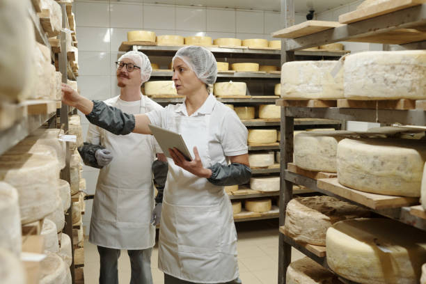 istock Inspecting Aging Cheese in a Professional Dairy Facility 2195859456