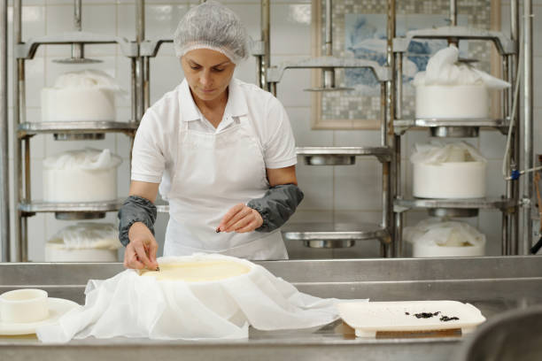 istock Carefully Preparing Cheese in Modern Production Facility 2195859457