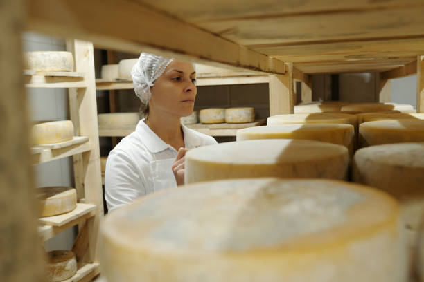 istock Inspecting Aging Cheeses in a Wooden Cheese Cellar 2195859458