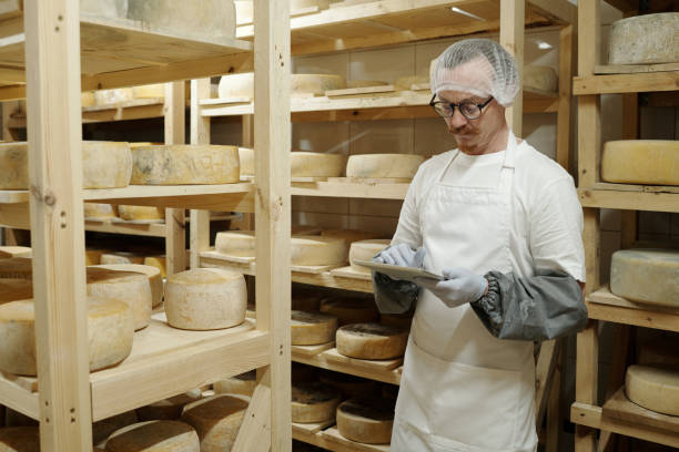 istock Checking Quality of Aging Cheese in Storage Facility 2195859469