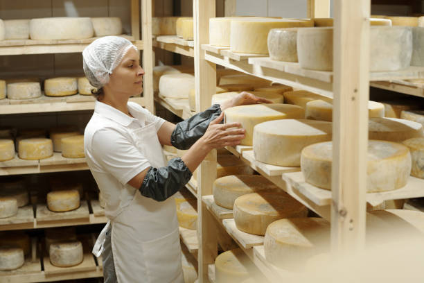 istock Inspecting Wheels of Cheese in Aging Room 2195859470