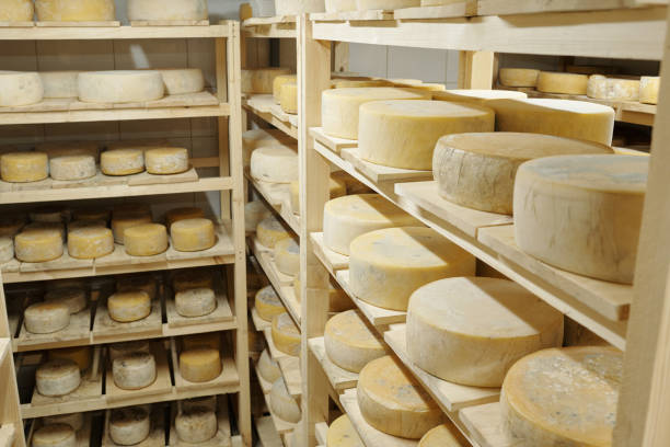 istock Aging Wheels of Artisan Cheese in Rustic Cellar 2195859768
