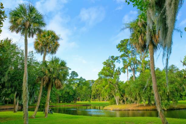 istock Hilton Head Lagoon View with Palm Trees- Hilton Head, South Carolina 2195861976