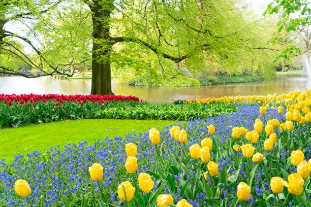 istock flowers in spring garden 2195862910