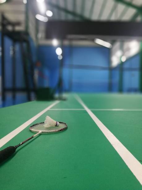 istock Medium Close Up of Racket and Shuttlecock 2195864408