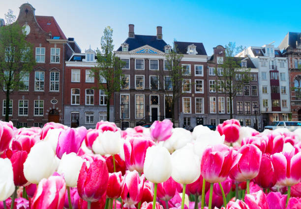 istock Houses of Amstardam, Netherlands 2195866640