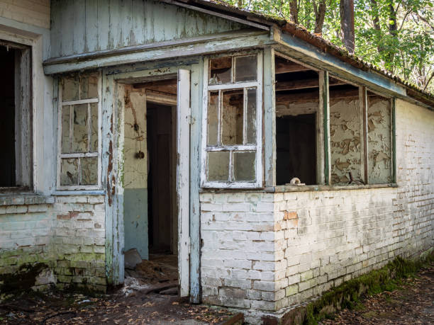 istock Chernobyl Exclusion Zone, Ukraine 2195866989