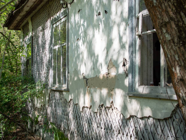 istock Chernobyl Exclusion Zone, Ukraine 2195866990