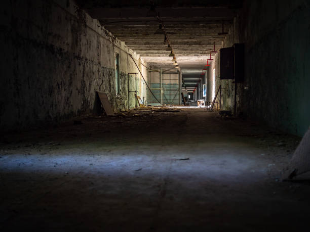 istock Chernobyl Exclusion Zone, Ukraine 2195867114