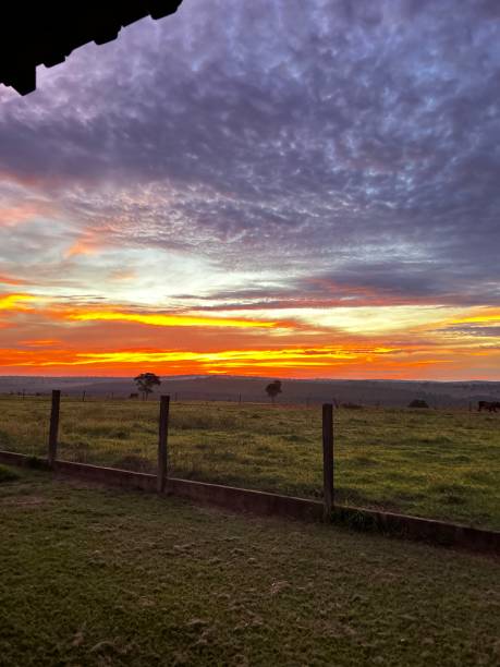 istock BEAUTIFUL NATURE  COLORIZED SUNSET AT FARM. NICE BACKGROUND FOR RANCH STYLE 2195867286