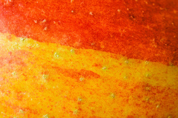 istock Abstract macro detail of fresh apple surface texture 2195868747