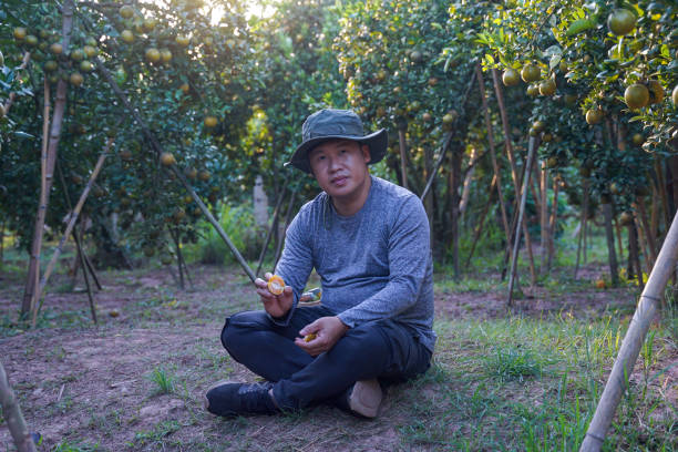 A male gardener poses for a photo with an orange orchard. While sitting and resting while working. Soft and selective focus.