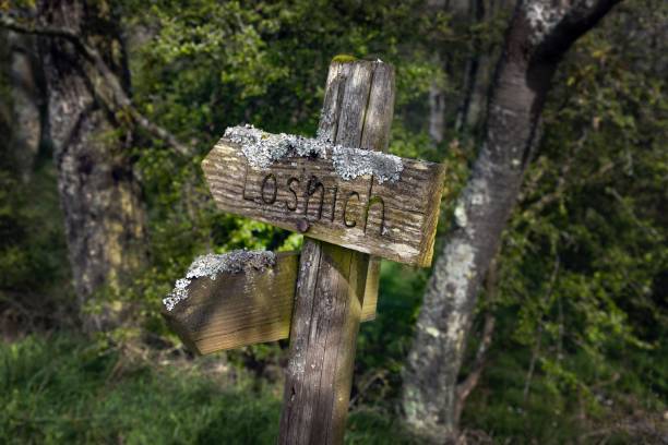 istock Old wooden sign in the forest 2195872935