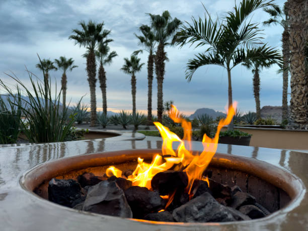 istock Glowing natural gas fire pit plus ceramic rocks with palm trees and mountains in background during early evening 2195873185