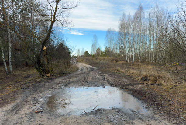 istock A muddy patch at the beginning of winter, a puddle on a forest road covered with ice 2195874321
