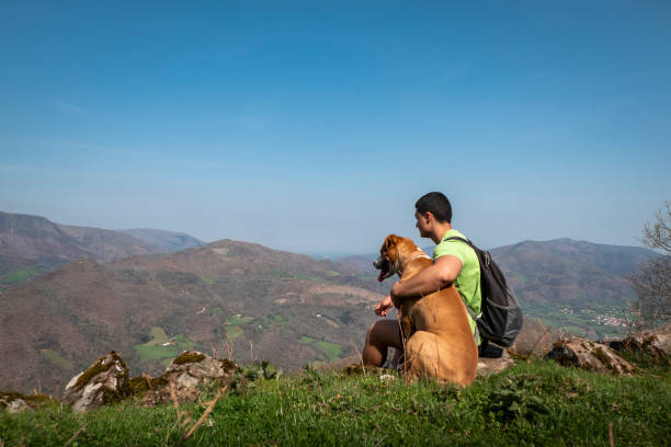istock Young man relaxing on Jara mountain with his dog 2195875595