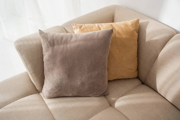Cozy couch with soft pillows in a bright, minimalist living room