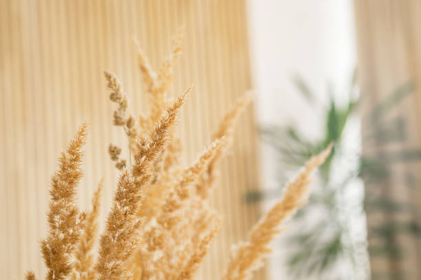 Dried grass decor enhances interior design with natural elegance