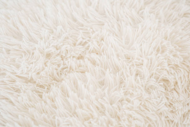 istock Soft white shag rug texture in a cozy indoor setting 2195875801