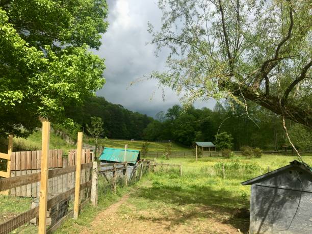 Farm Field I in Tennessee
