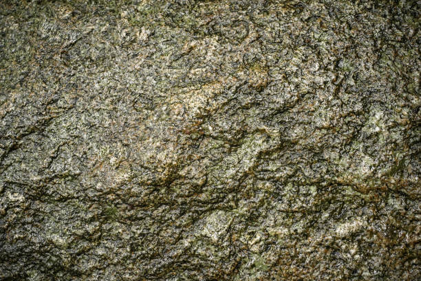 Rough rock abstract background. Wet stone texture in natural forest on raining time. beautiful patterns, space for work, seamless wallpaper close up.