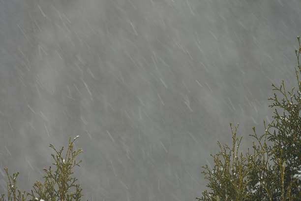 Winter Storm