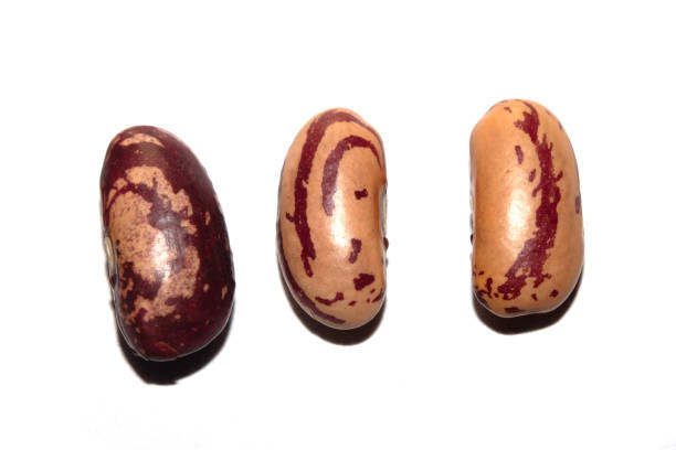 Close Up of Dried Beans Pinto on a White Background
