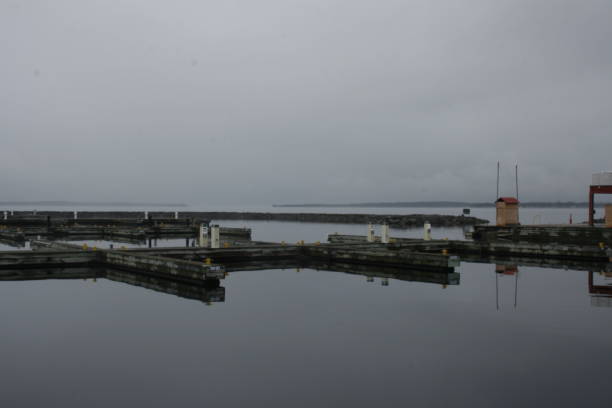 istock creepy day on the harbour 2195893842