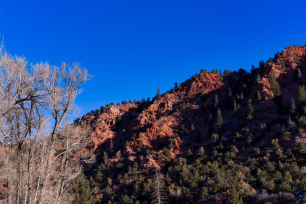 Red Rock Canyon and Blue Sky in Winter - Extreme terrain rugged canyon in warm sunny morning light. Gypsum, Colorado USA.