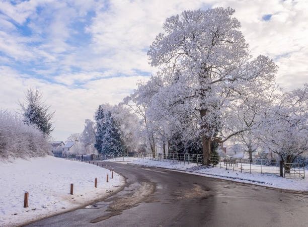 Danish farmland in wintertime