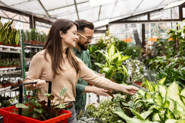 istock Young Couple Exploring Greenhouse and Choosing Plants Together 2195898691