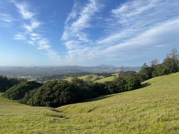 istock Taylor Mountain Regional Park, Sonoma County, California 2195907656