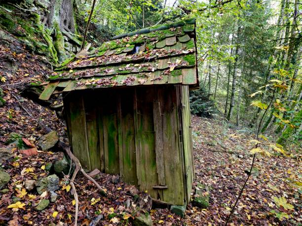istock Little hunter's house 2195910871