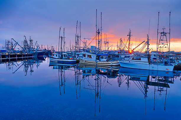 istock Victoria, Vancouver Island 2195912259