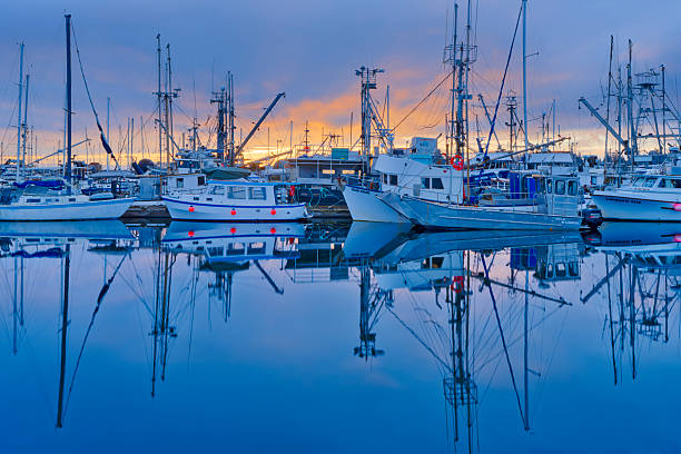 istock Victoria, Vancouver Island 2195912263