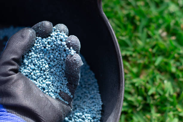 istock Blue chemical fertilizer in granulated format 2195912314
