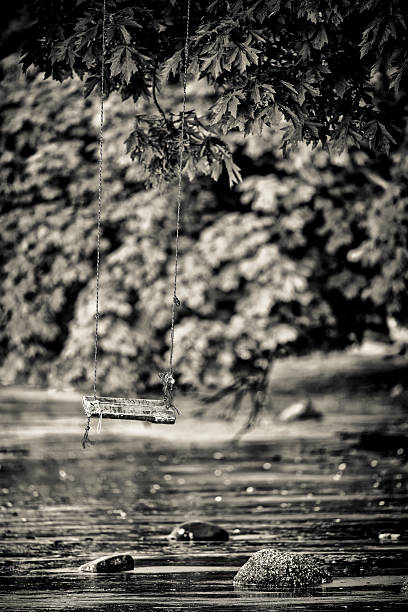 Rustic tree swing located on the shoreline of Victoria,  British Columbia