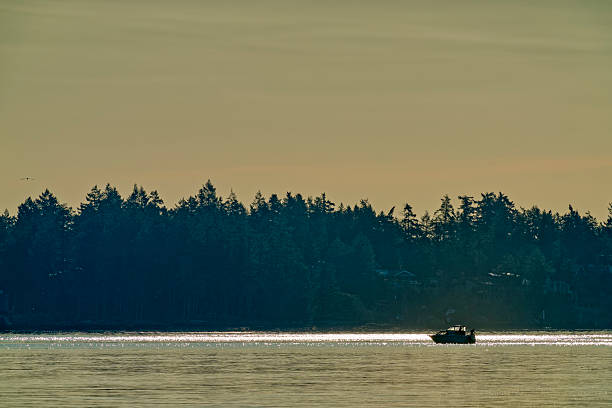 View of the Strait of Georgia and the coastal mountains from Vancouver Island, British Columbia