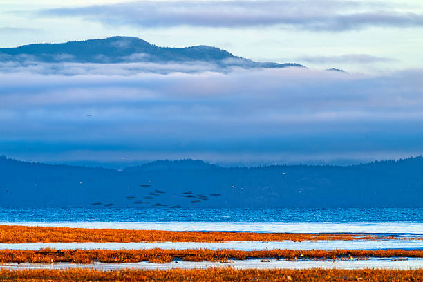View of the Strait of Georgia and the coastal mountains from Vancouver Island, British Columbia