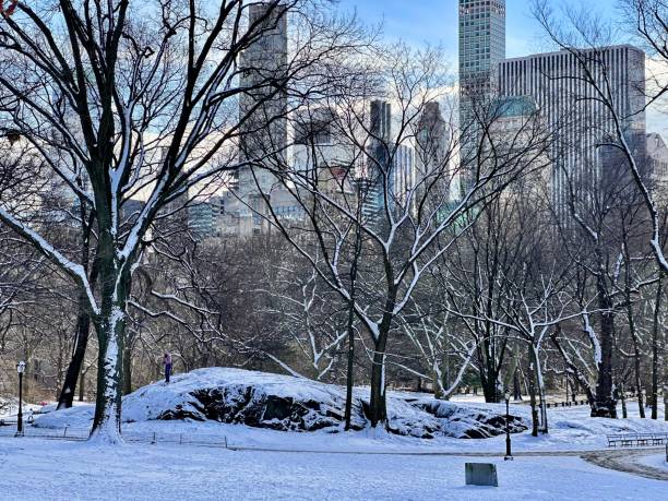 istock Central Park in Winter 2025 2195914693