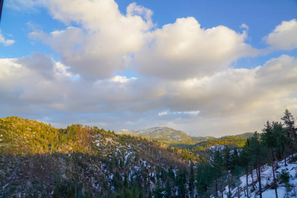 Sunlit Snow-Covered Hills and Forest Under a Partly Cloudy Sky