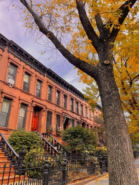 istock Brownstone of Brooklyn in the Autumn 2195926841