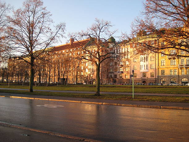 Sunny street with colored trees in Helsinki, Finland