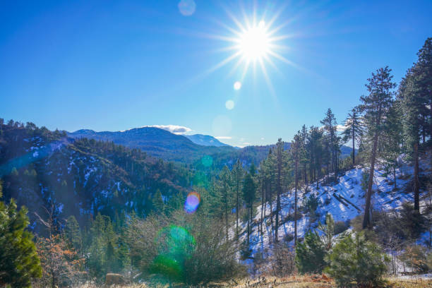 istock Snowy Landscape with Pine Trees and Bright Sunlight on a Clear Winter Day 2195931056
