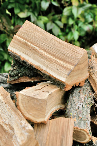 istock Pile of freshly chopped firewood 2195933291