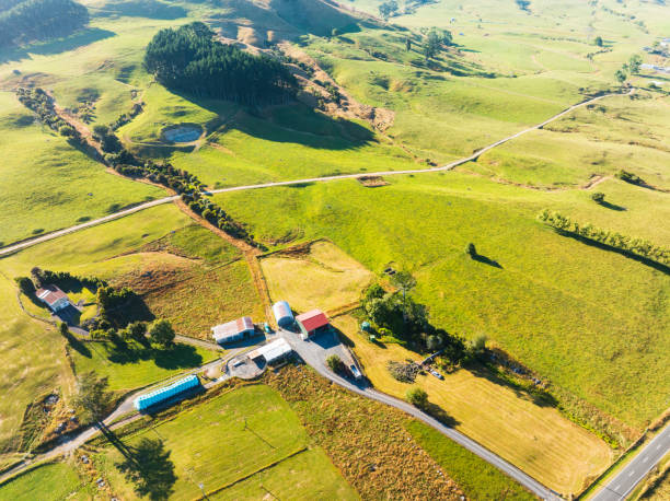 Idyllic view of cultivated agricultural fields with lush green foliage as seen from above.