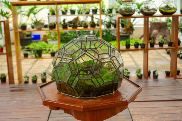 istock Geometric glass Terrarium 2195935047