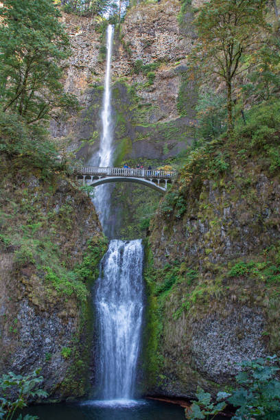 istock Multnomah Falls on the scenic Columbia River highway in Oregon 2195943474
