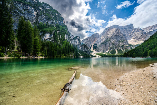istock Cloudy view of the lake prags with a branch in front 2195944445
