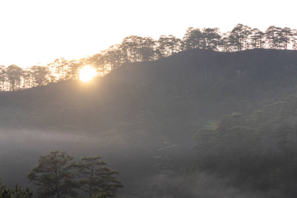 Sunrise over forest and hills in mist, Da Lat